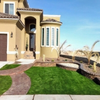 Artificial Grass Bee Cave Texas Lawn Front Yard