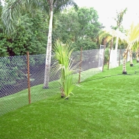 Artificial Grass Bertram Texas Landscape Back Yard