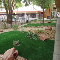 Artificial Grass Creedmoor Texas Landscape Commercial Landscape