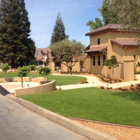 Artificial Grass Dripping Springs Texas Landscape Front