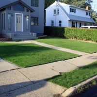 Artificial Grass Fayetteville Texas Lawn Front Yard