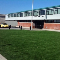 Artificial Grass Hays Texas Landscape Commercial Landscape