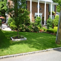 Artificial Grass Marble Falls Texas Landscape Front Yard