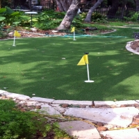 Artificial Grass Mustang Ridge Texas Landscape Back Yard