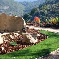 Artificial Grass Poth Texas Landscape Front Yard