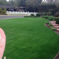 Artificial Grass Round Mountain Texas Landscape Front Yard