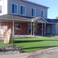 Artificial Grass Shady Hollow Texas Landscape Front Yard