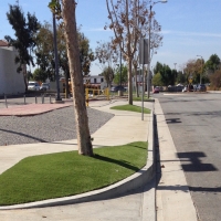 Artificial Turf Cross Mountain Texas Landscape Commercial