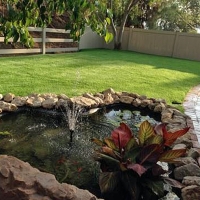 Artificial Turf Industry Texas Landscape Summer Pools