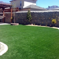 Artificial Turf Kingsbury Texas Landscape Back Yard