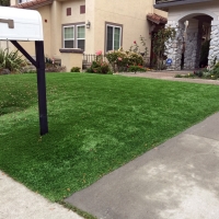 Artificial Turf Lometa Texas Lawn Front Yard