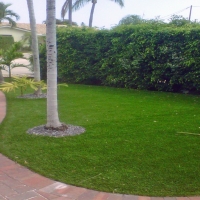 Artificial Turf Martindale Texas Lawn Front Yard