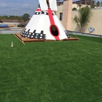 Artificial Turf Schulenburg Texas Landscape Roof Top