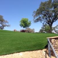 Artificial Turf Uhland Texas Lawn Front Yard