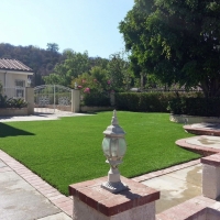 Artificial Turf Wimberley Texas Landscape Front Yard