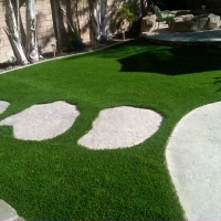 Artificial Turf Yoakum Texas Landscape Pavers Back Yard