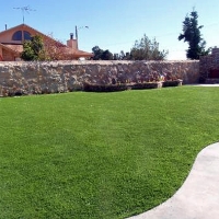 Artificial Turf Yoakum Texas Landscape Back Yard