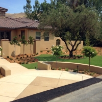 Fake Grass Canyon Lake Texas Lawn Front Yard