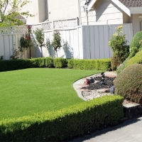 Fake Grass Grey Forest Texas Lawn Front Yard