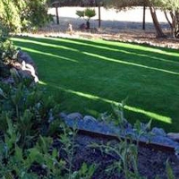 Fake Grass Holland Texas Landscape Back Yard