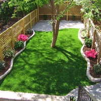 Fake Grass Rogers Texas Lawn Back Yard