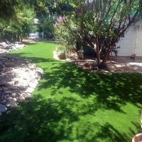 Fake Grass Shavano Park Texas Lawn Back Yard