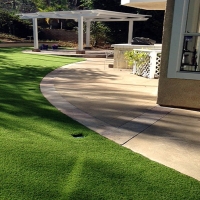 Fake Pet Turf Kyle Texas for Dogs Front Yard