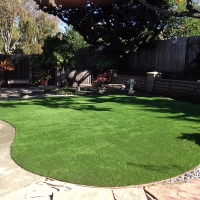 Fake Turf Crawford Texas Landscape Back Yard