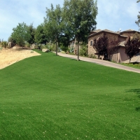 Fake Turf Dripping Springs Texas Lawn Front Yard