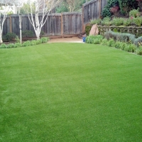 Fake Turf Florence Texas Lawn Back Yard