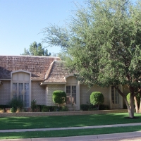 Fake Turf Sparks Texas Lawn Front Yard