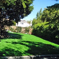 Fake Turf Wells Branch Texas Lawn Back Yard