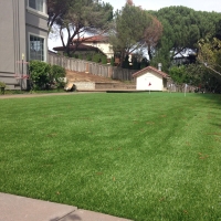 Golf Putting Greens Schertz Texas Synthetic Turf Back Yard