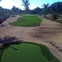 Golf Putting Greens Staples Texas Fake Turf Back Yard