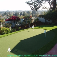 Putting Greens Barton Creek Texas Synthetic Grass Back Yard