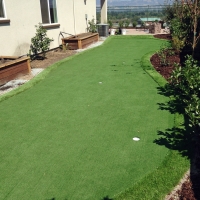 Putting Greens Thorndale Texas Synthetic Grass Back Yard