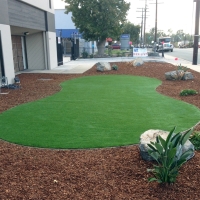 Synthetic Grass China Grove Texas Lawn Commercial Landscape