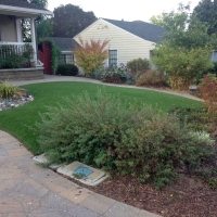 Synthetic Grass Comfort Texas Landscape Front Yard