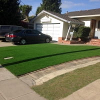 Synthetic Grass Converse Texas Landscape Front Yard