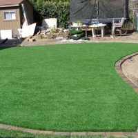 Synthetic Grass Elmendorf Texas Lawn Back Yard