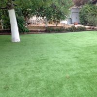 Synthetic Grass Garden Ridge Texas Lawn Back Yard