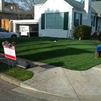 Synthetic Grass Hollywood Park Texas Landscape Front Yard