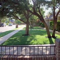 Synthetic Grass Jarrell Texas Lawn Front Yard