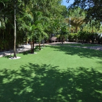 Synthetic Grass Jonestown Texas Lawn Commercial Landscape