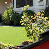 Synthetic Grass Kempner Texas Lawn Front Yard