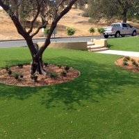 Synthetic Grass Lake Dunlap Texas Lawn Front Yard