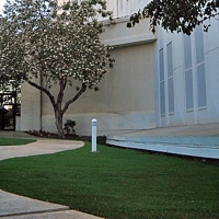 Synthetic Grass Live Oak Texas Lawn Front Yard