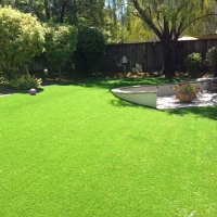 Synthetic Grass Mustang Ridge Texas Landscape Back Yard