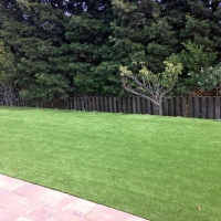 Synthetic Grass New Berlin Texas Landscape Back Yard