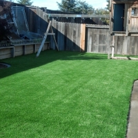 Synthetic Grass Rogers Texas Landscape Back Yard